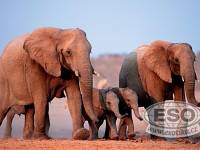 Namibie Wonderland │ Fly & Drive - Ubytování Classic ()